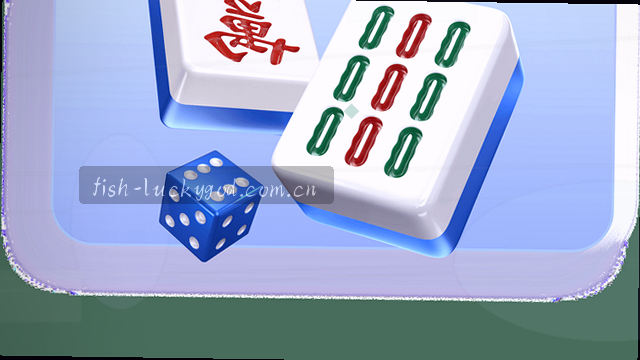 我们支持哪些问题